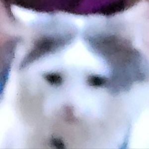 Meet your Posher, Aurora